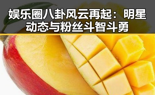 娱乐圈八卦风云再起：明星动态与粉丝斗智斗勇