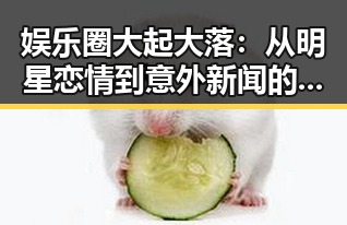 娱乐圈大起大落：从明星恋情到意外新闻的全景回顾