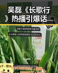 吴磊《长歌行》热播引爆话题：新一代侠客崛起？